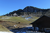 p1010304.jpg