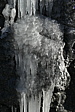 p1010307.jpg