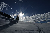 p1010320.jpg