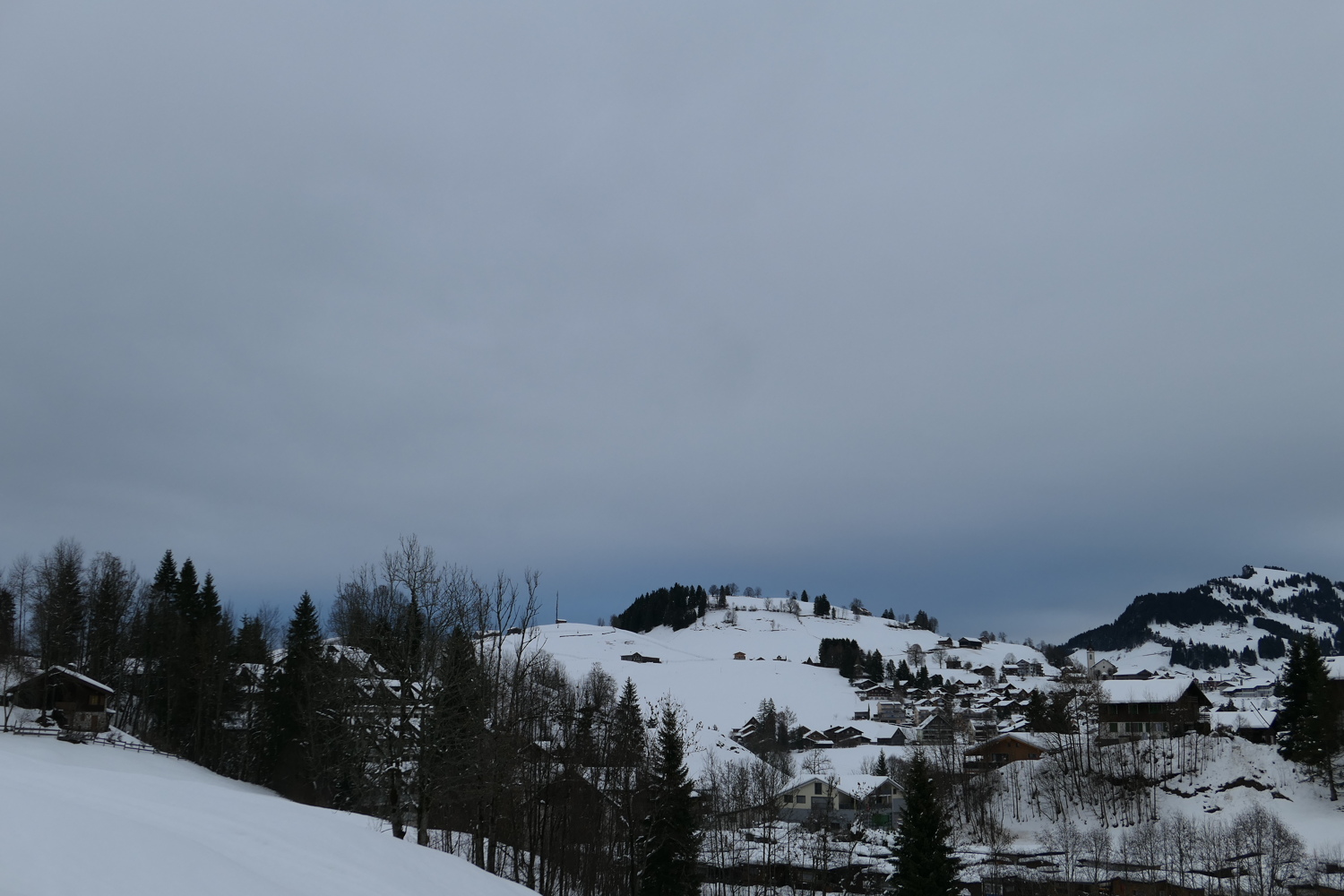 p1050364.jpg