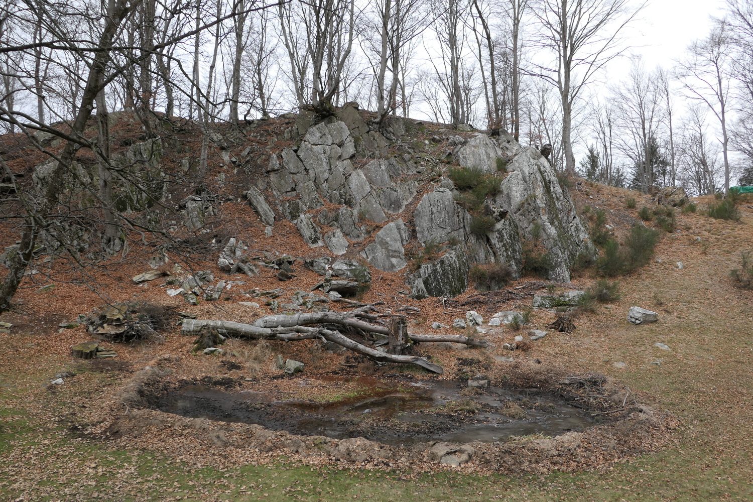 p1050391.jpg
