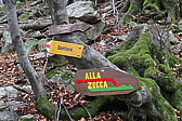 p1050389.jpg