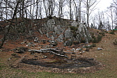p1050391.jpg