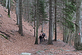 p1050393.jpg