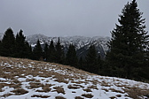 p1050404.jpg