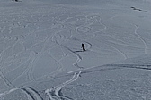 p1010591.jpg
