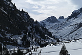 p1010599.jpg