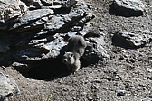 p1030084.jpg