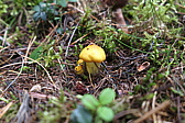 p1030553.jpg
