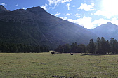 p1030594.jpg
