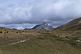 p1030604.jpg