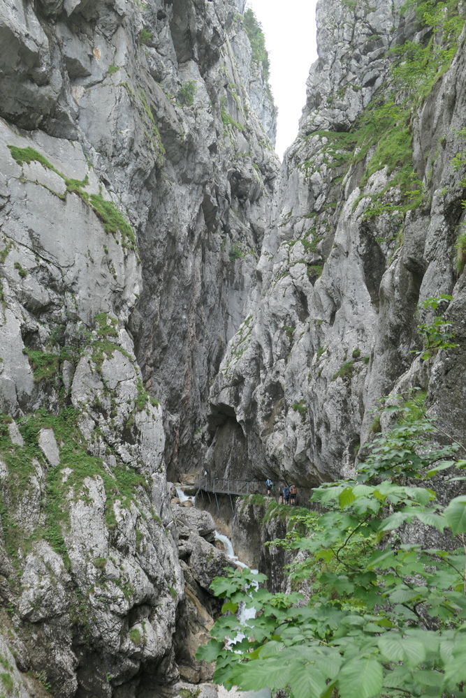 p1020794.jpg