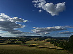 img_4777.jpeg