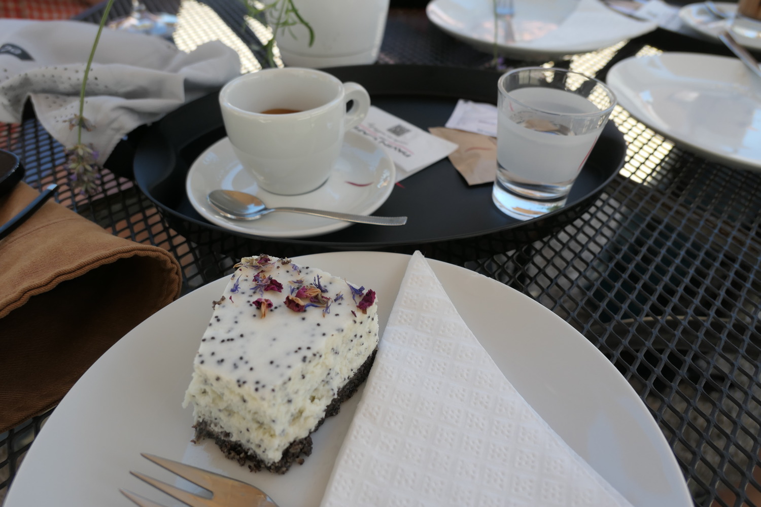 p1070008.jpg