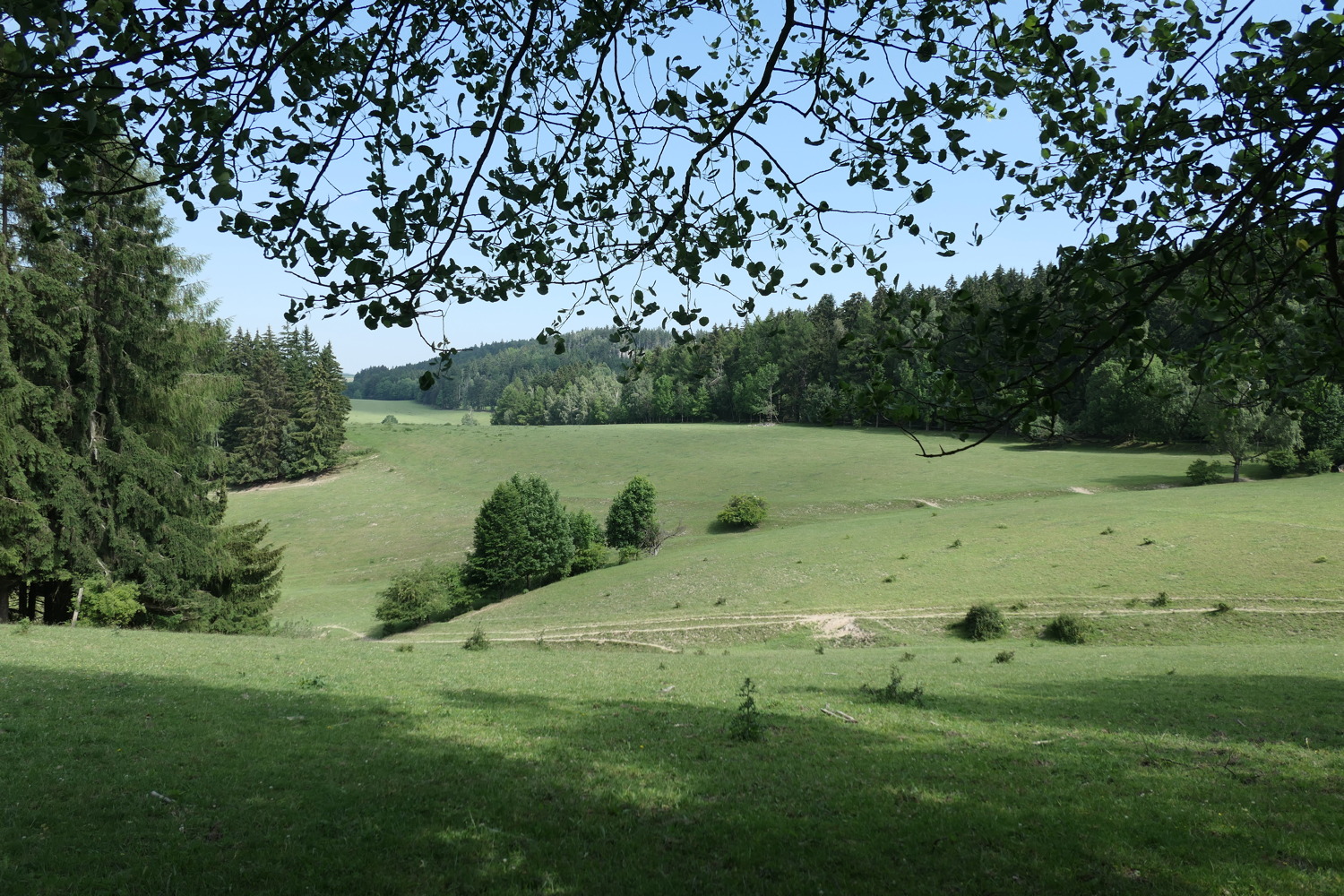 p1070068.jpg