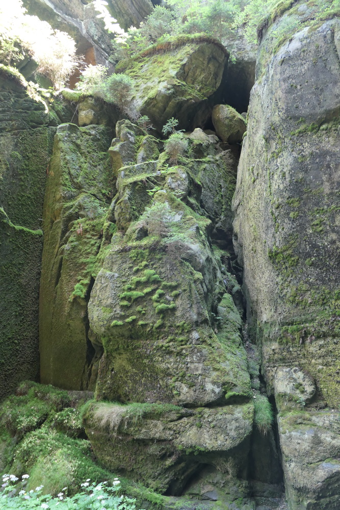 p1070100.jpg