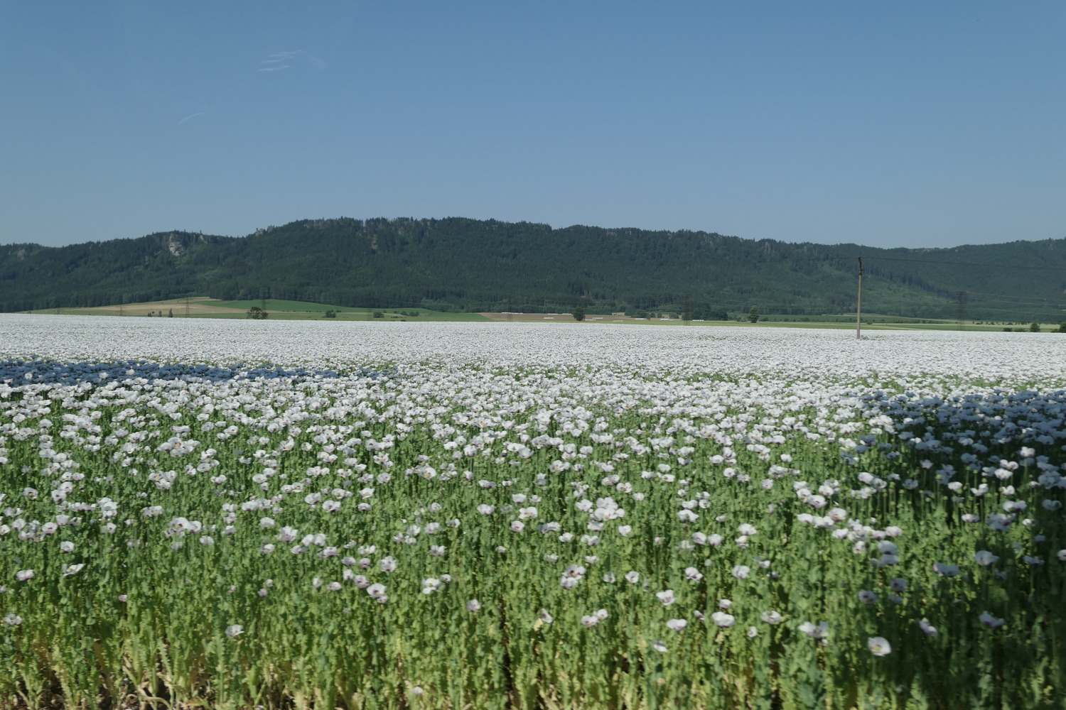 p1070151.jpg