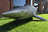 p1070028.jpg