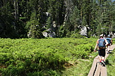 p1070110.jpg