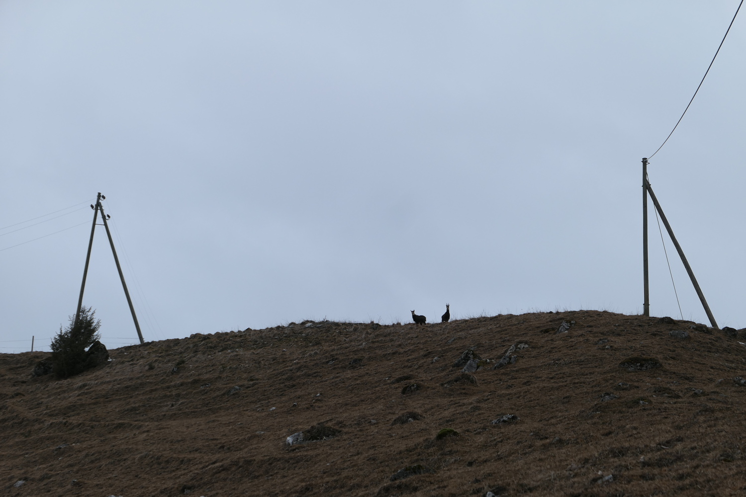 p1050826.jpg
