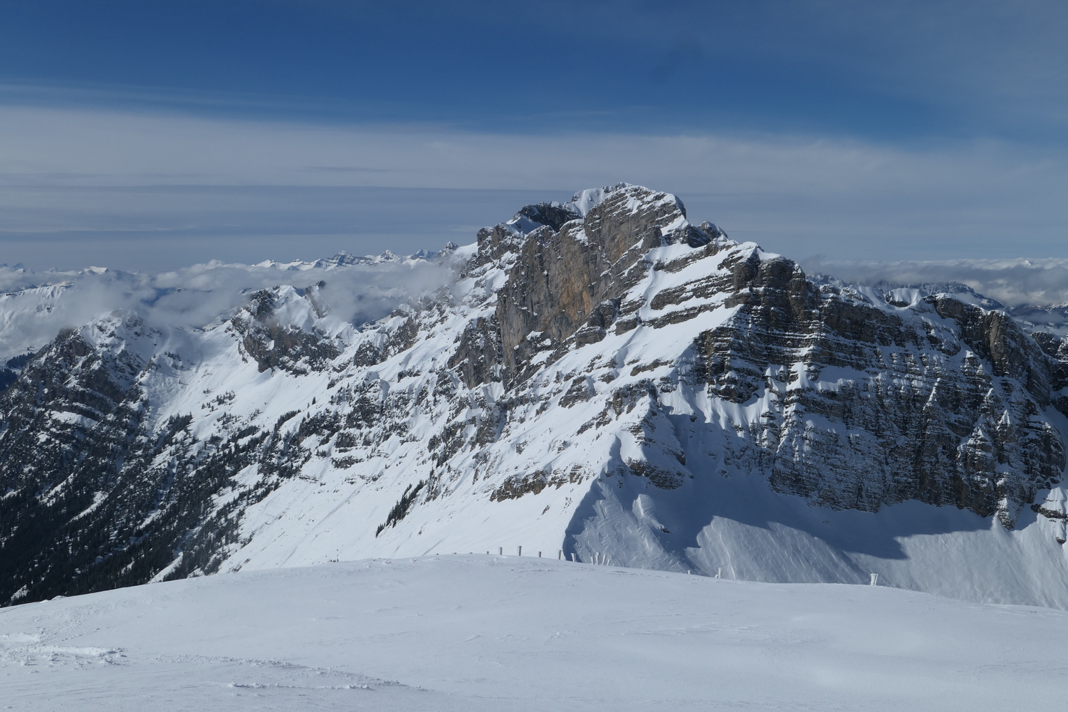p1050844.jpg