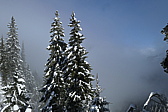 p1050837.jpg
