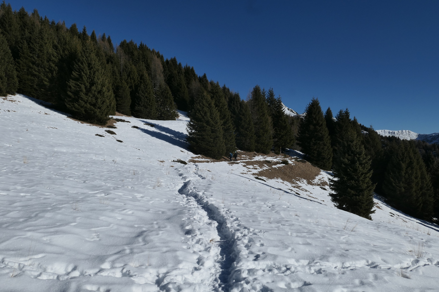 p1050747.jpg