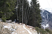 p1050716.jpg