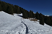 p1050747.jpg