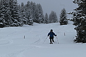 p1050878.jpg