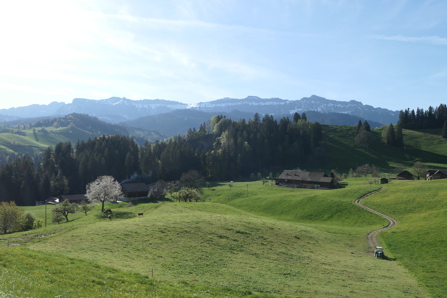 p1060346.jpg
