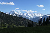 p1060334.jpg