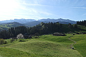 p1060346.jpg