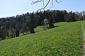 p1060307.jpg