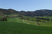 p1060310.jpg