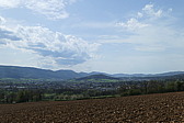 p1060312.jpg