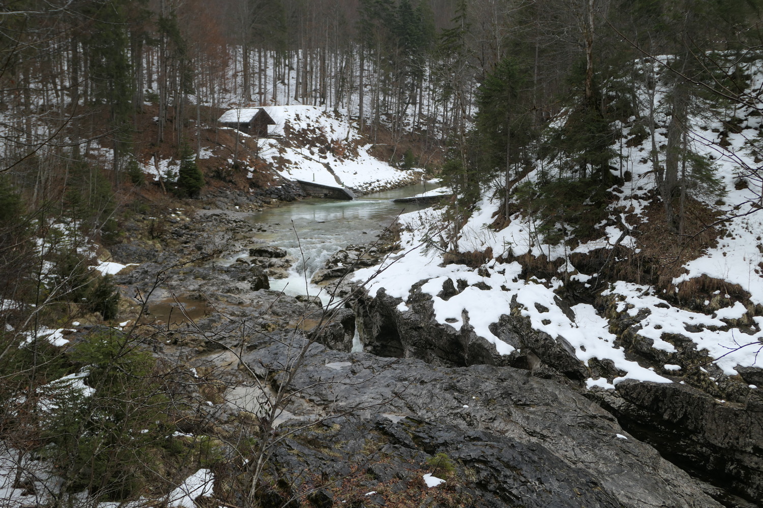 p1060186.jpg