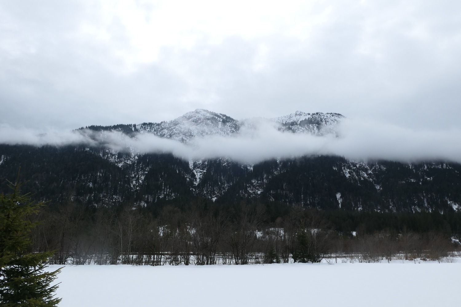 p1060200.jpg
