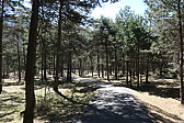 p1060243.jpg