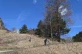 p1060284.jpg