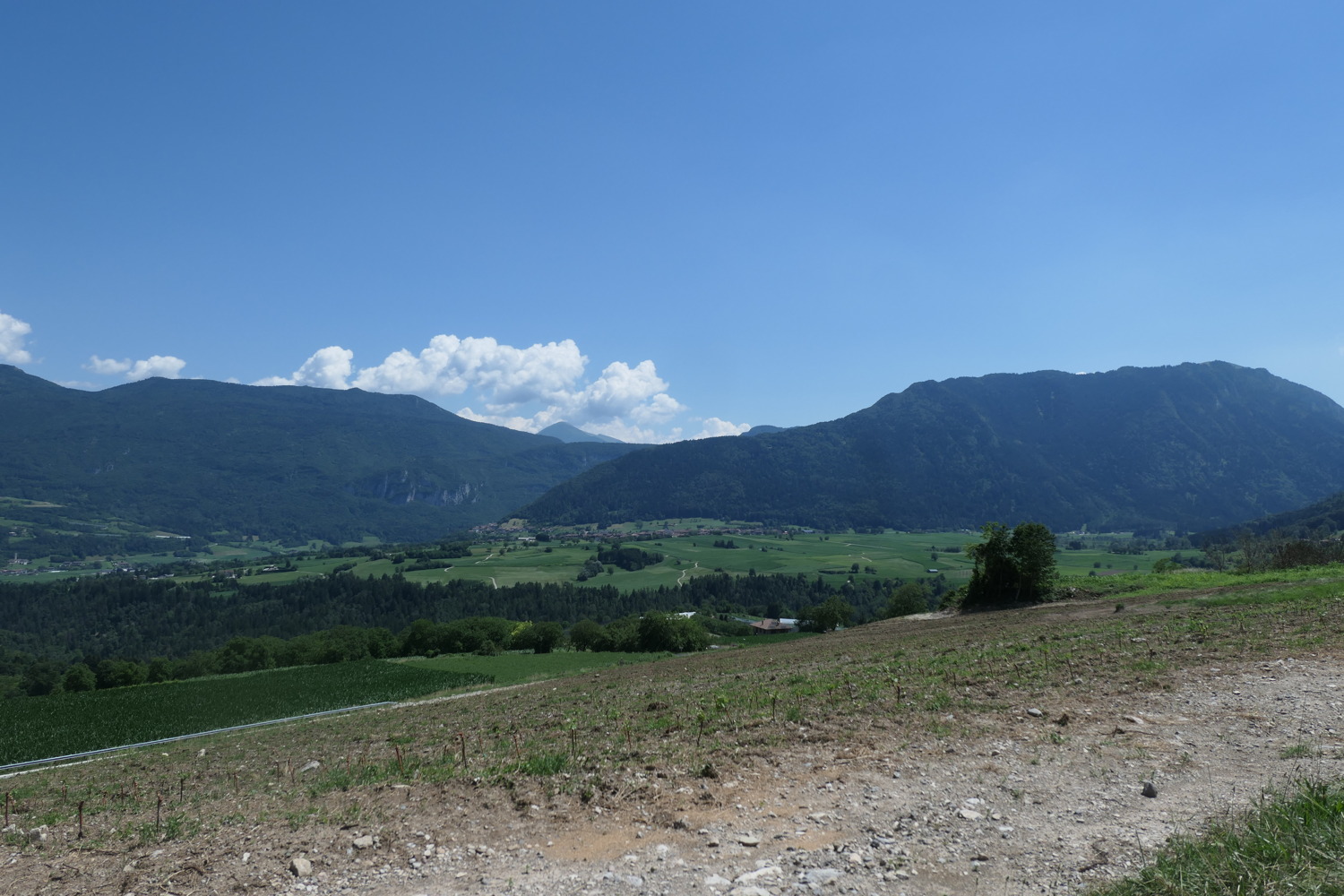 p1070260.jpg