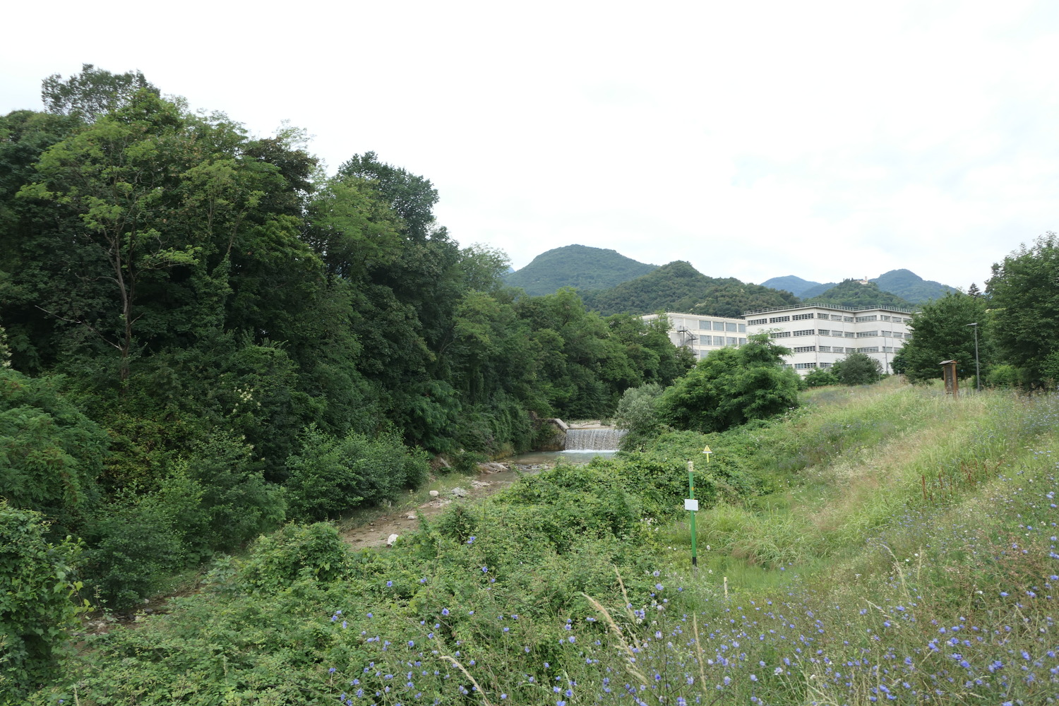 p1070312.jpg