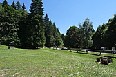 p1070257.jpg