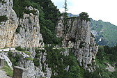 p1070293.jpg