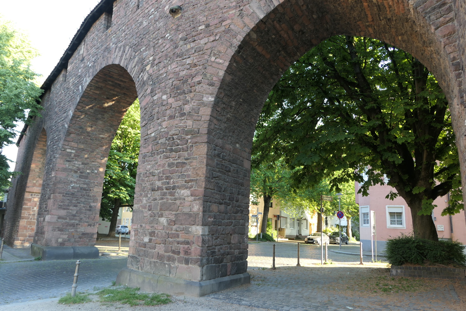 p1060638.jpg