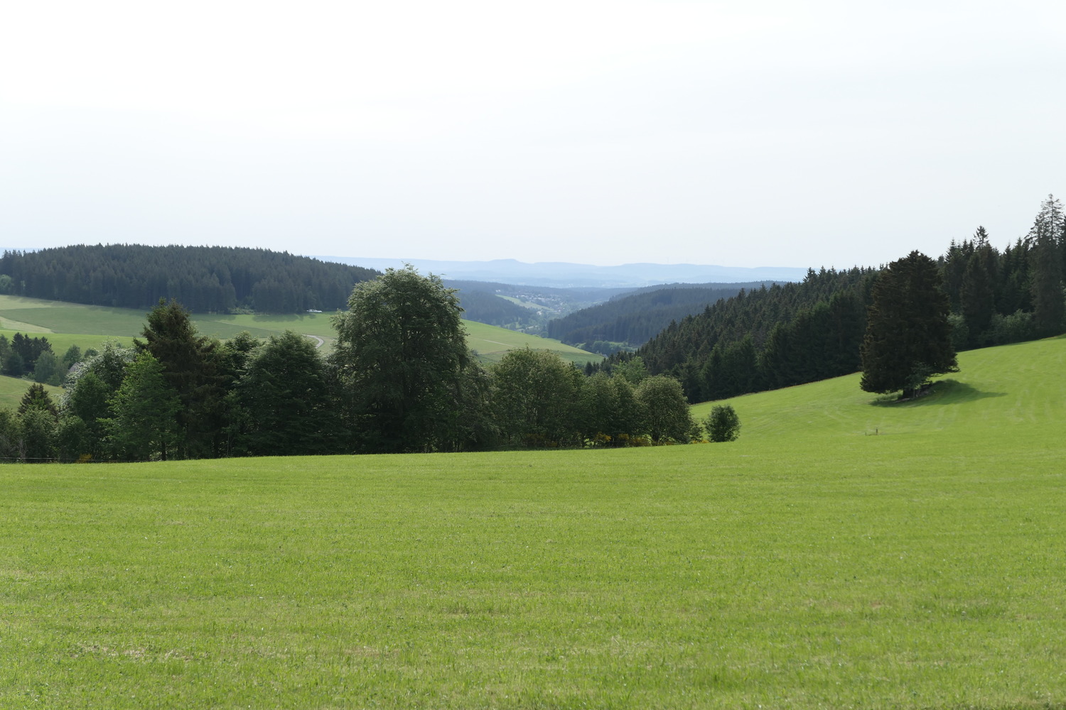 p1060732.jpg