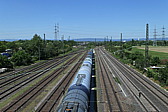 p1060610.jpg