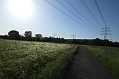 p1060667.jpg