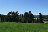 p1060715.jpg