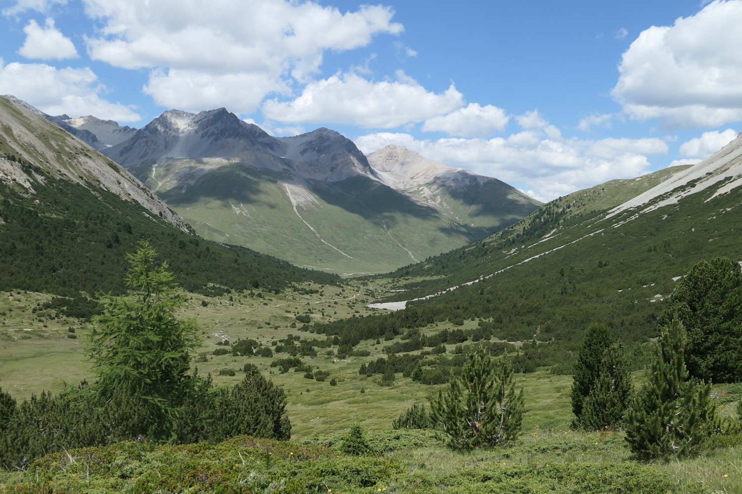 p1070334.jpg